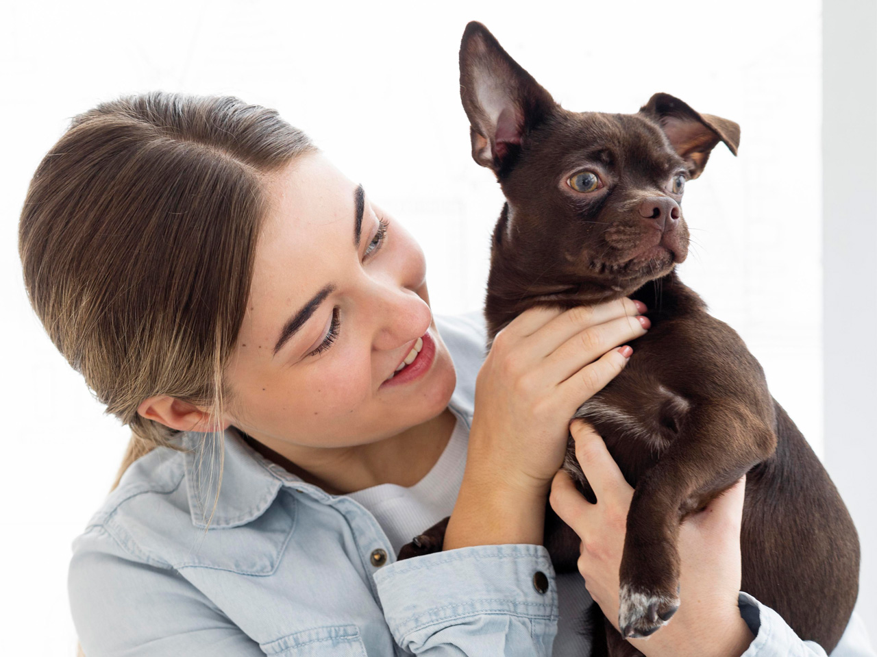 banner septiembre vacunas perros