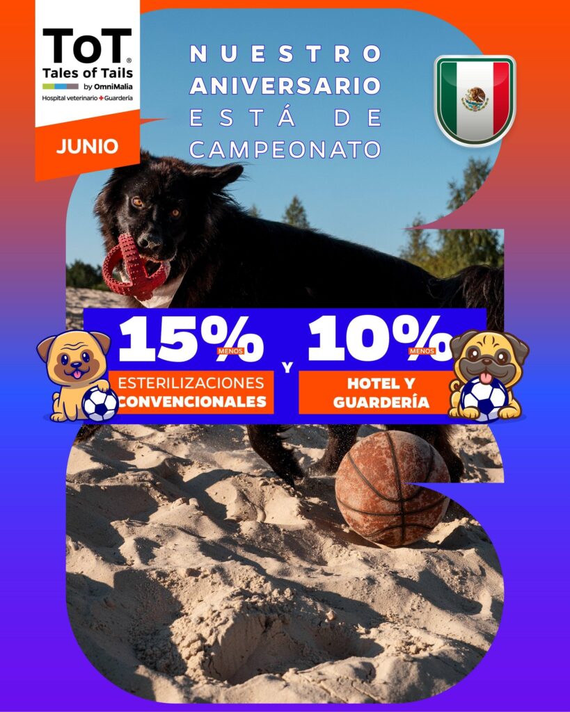 Promoción Omnimalia Junio