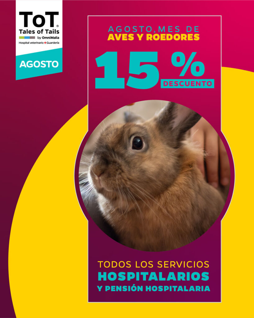 Poromociones TOT Agosto